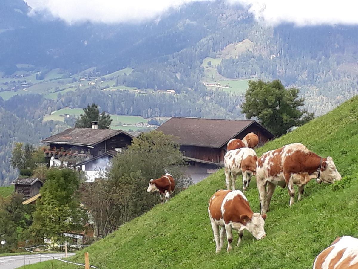 Landhaus Katharina Bischofshofen Dış mekan fotoğraf