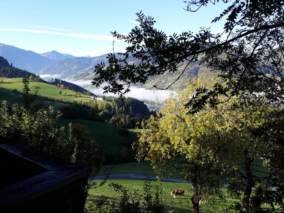 Landhaus Katharina Bischofshofen Dış mekan fotoğraf
